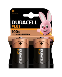 Duracell Plus 100 D Torch 2pcs
