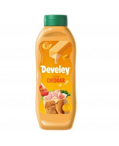 Develey Salsa 875ml Cheddar...