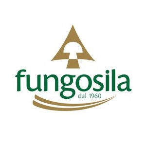 Fungosila
