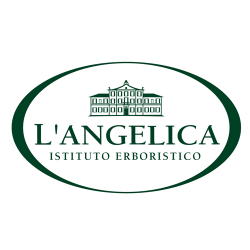 L'Angelica