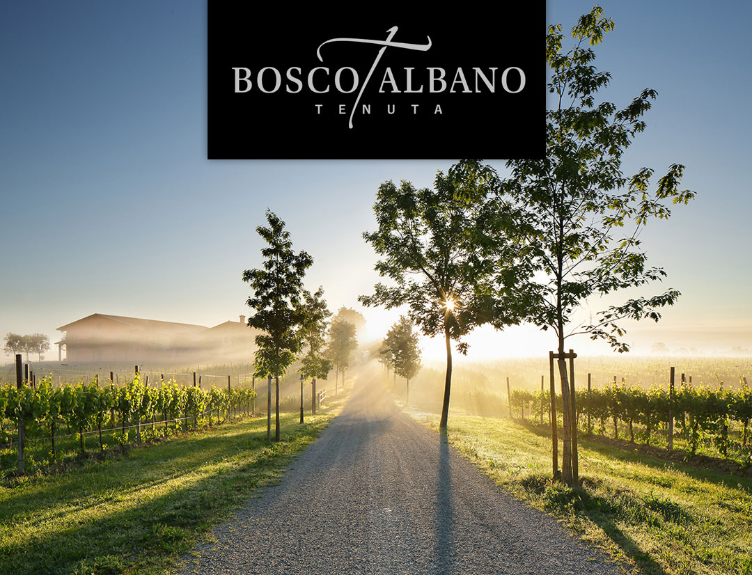Discover our best offer Wines Tenuta Bosco Albano