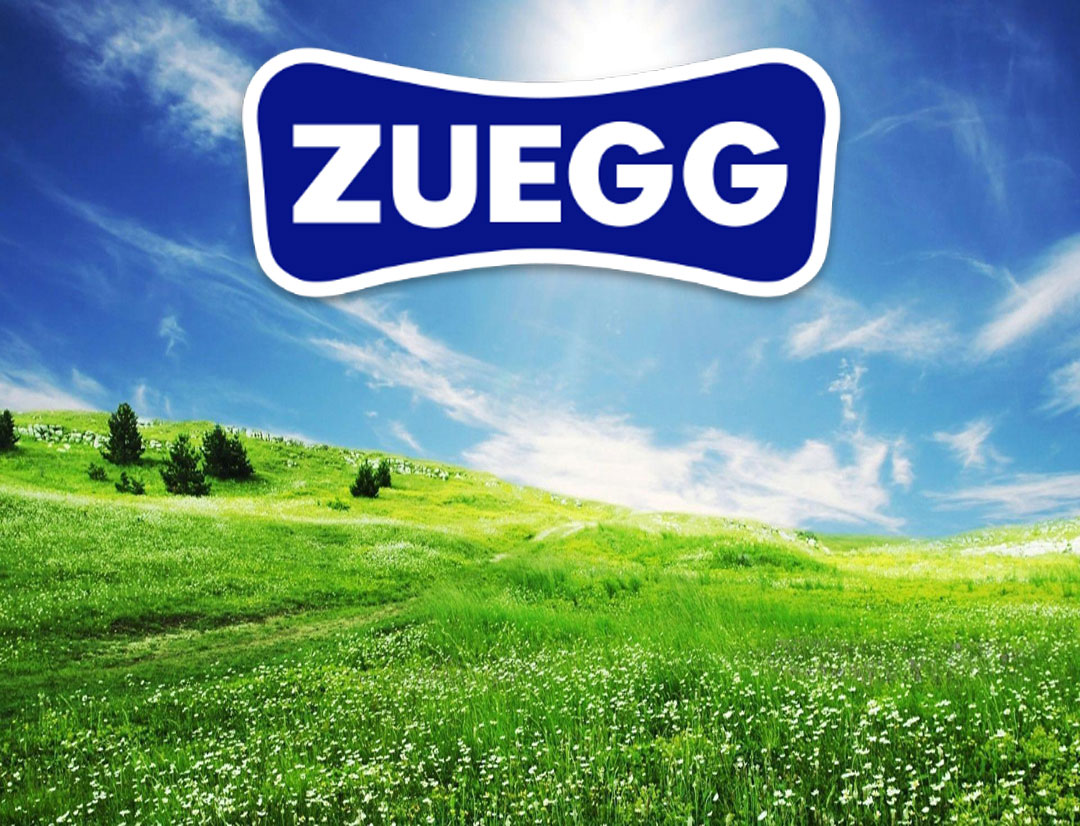 Our best offer on Zuegg