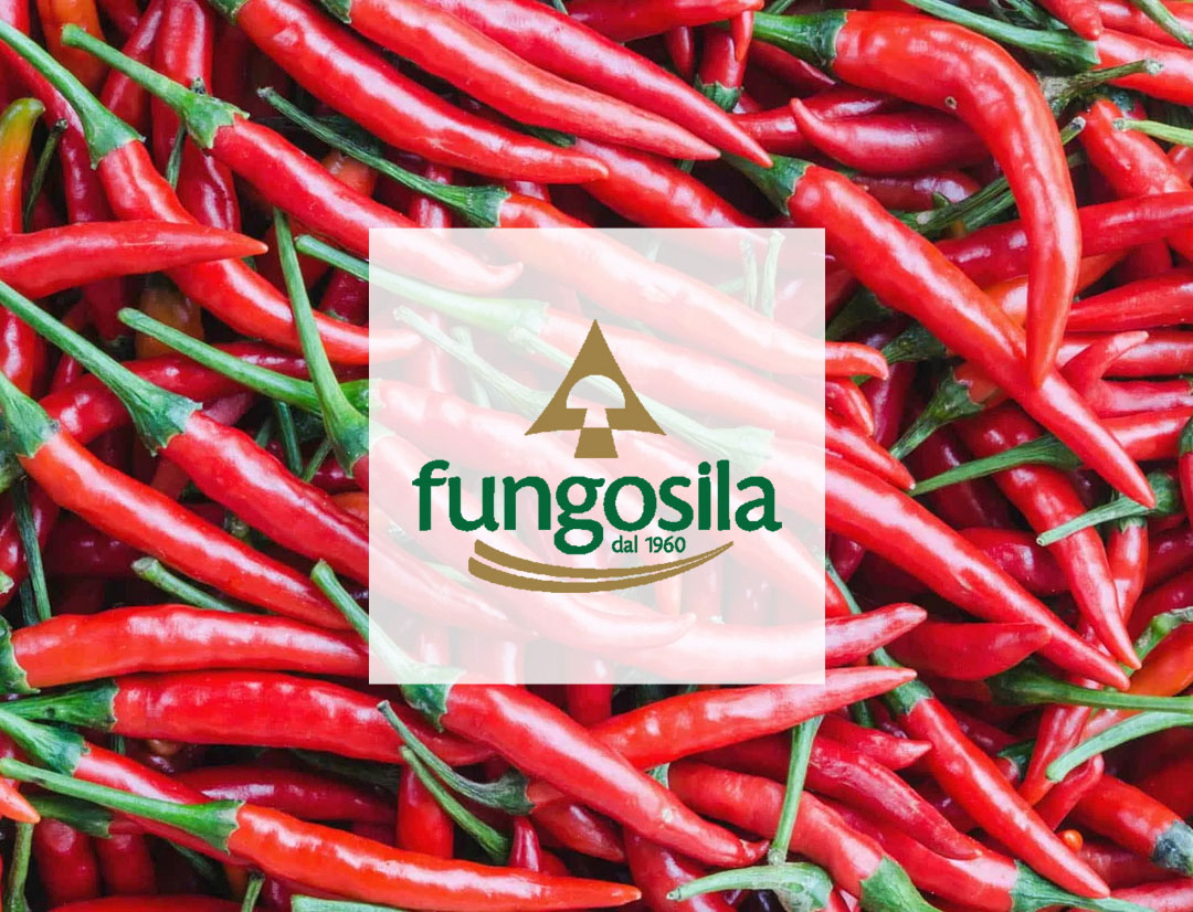 Discover our best offers on Fungosila