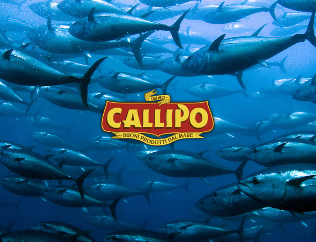 Discover the new offers on Callipo Tuna